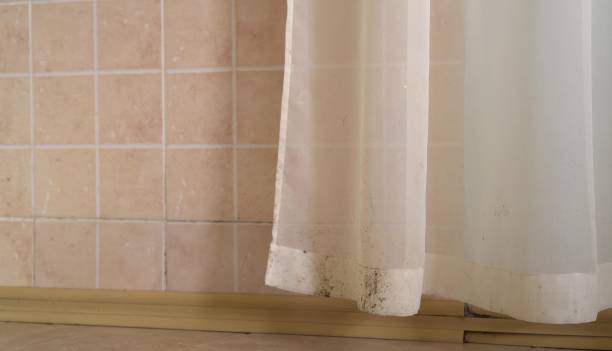 Best Air Quality Testing for Mold Spores  in Carthage, TX