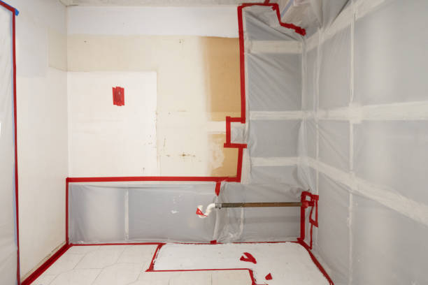 Best Forensic Mold Investigation  in Carthage, TX