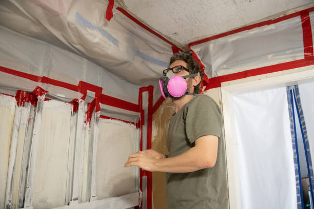 Best Real Estate Mold Inspection  in Carthage, TX