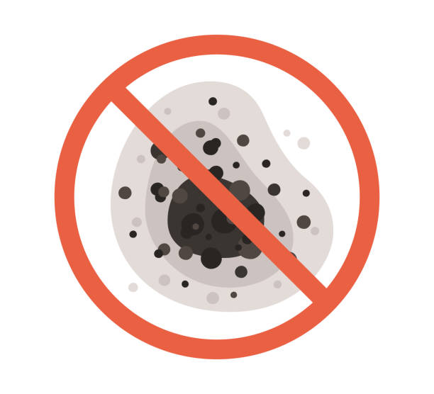Best Black Mold Removal  in Carthage, TX